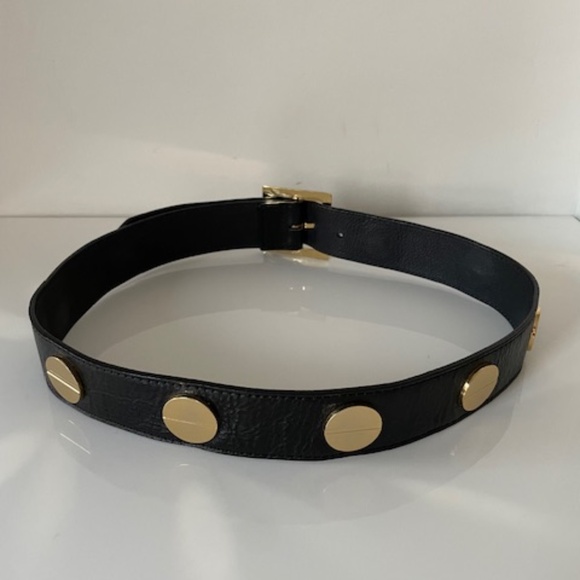 CC Skye Gold Flat Disc Hardware Black Belt